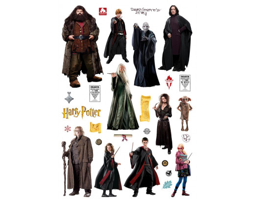 DKM 1643 Harry Potter falmatrica